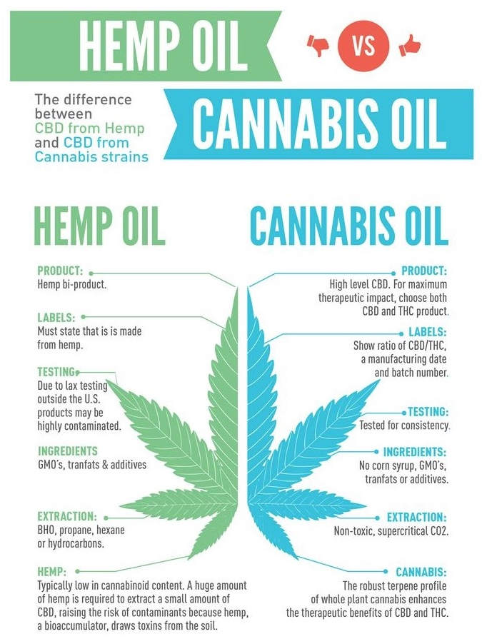 Screen-Shot-2019-10-24-at-2.32.46-PM (1)