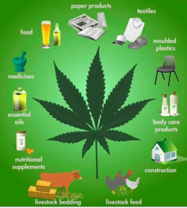 Screen_Shot_2019-05-23_at_14.28.30_300x300